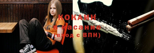 PSILOCYBIN Куйбышев