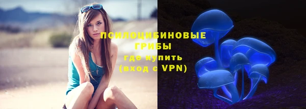 apvp Кулебаки