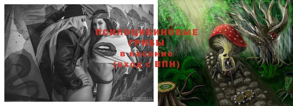 PSILOCYBIN Куйбышев