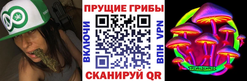 Псилоцибиновые грибы ЛСД  гидра зеркало  Орёл  как найти закладки 